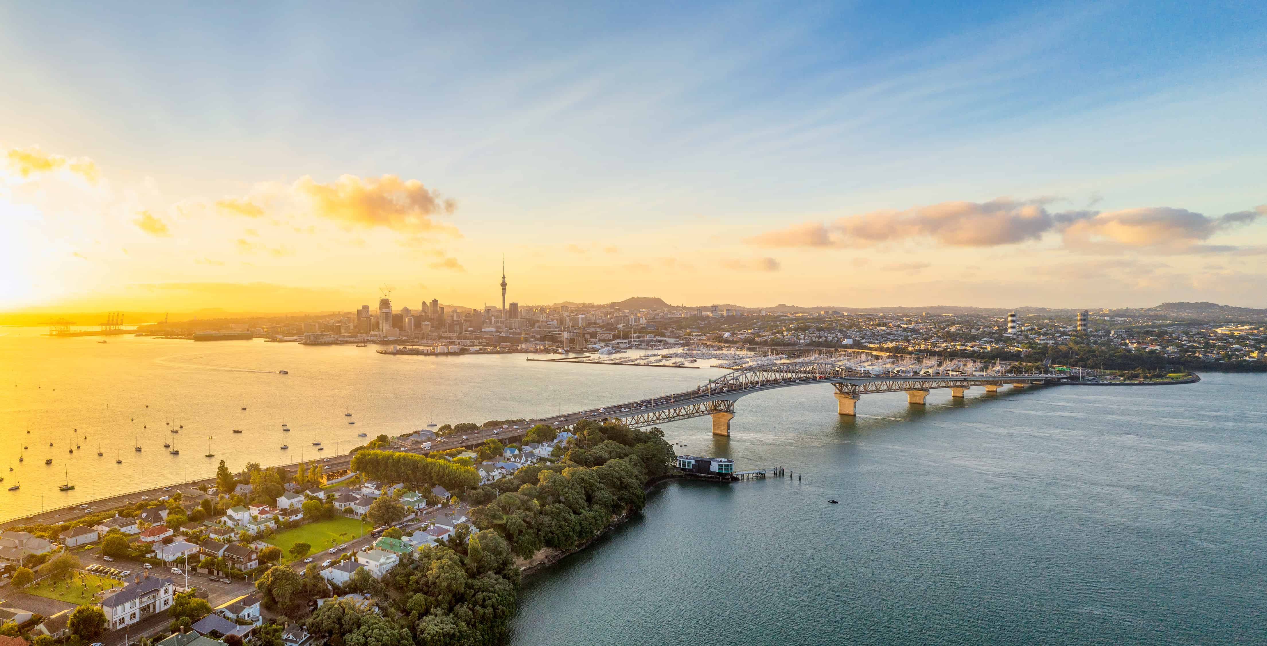 new-zealand-business-solutions-outsourcing.jpg